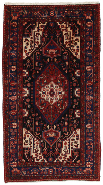 Nahavand - Hamadan Perzisch Tapijt 305x169