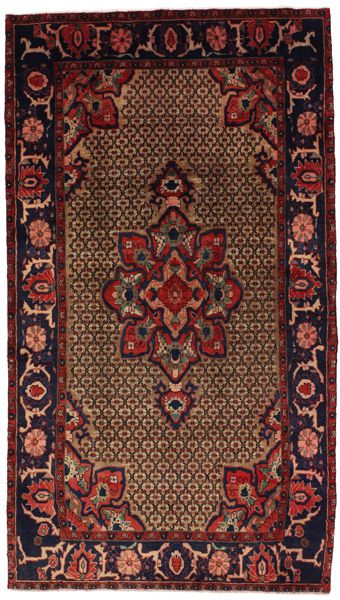 Songhur Perzisch Tapijt 273x152