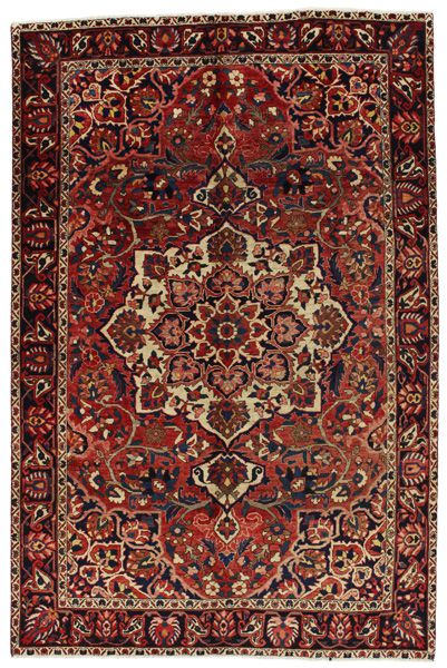 Bakhtiari Perzisch Tapijt 310x205