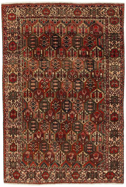 Bakhtiari - Garden Perzisch Tapijt 305x205