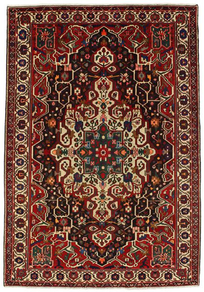 Bakhtiari Perzisch Tapijt 308x212