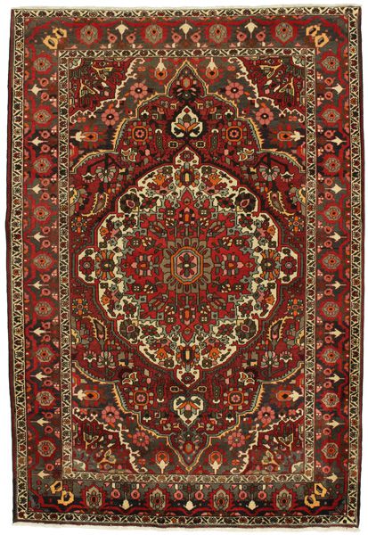Bakhtiari Perzisch Tapijt 308x210