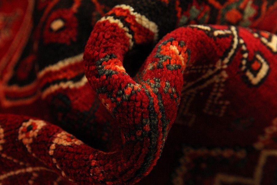 Qashqai - Shiraz Perzisch Tapijt 243x154 - Afbeelding 6