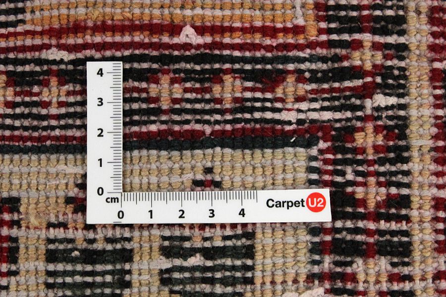 Bakhtiari - Garden Perzisch Tapijt 300x208 - Afbeelding 3