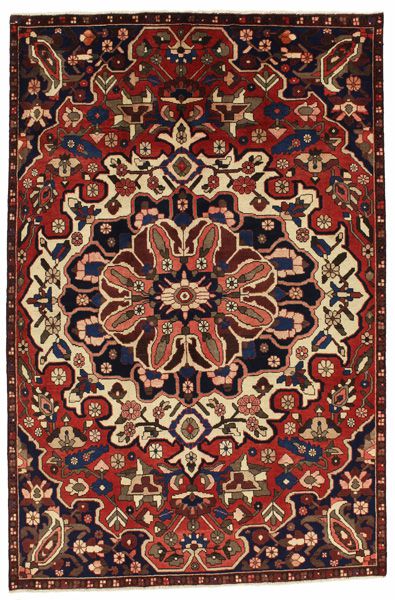 Bakhtiari Perzisch Tapijt 248x167