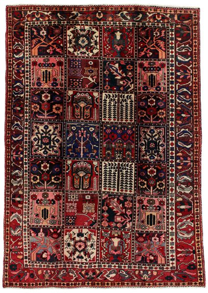 Bakhtiari Perzisch Tapijt 223x157