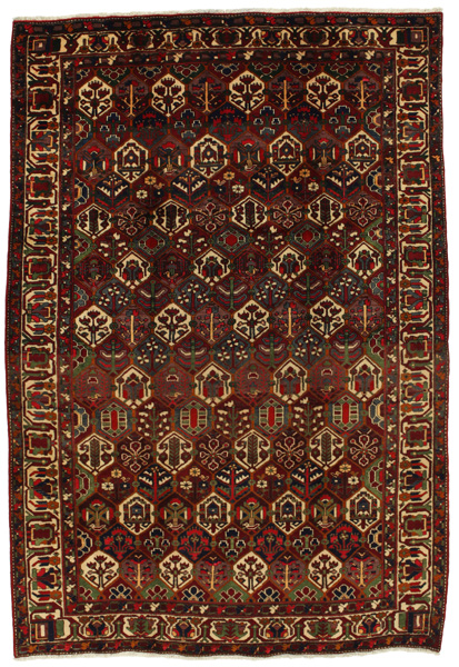 Bakhtiari Perzisch Tapijt 312x212