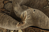 Gabbeh - Qashqai Perzisch Tapijt 200x120 - Afbeelding 8