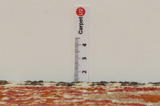 Gabbeh - Bakhtiari Perzisch Tapijt 272x144 - Afbeelding 8