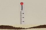 Gabbeh - Qashqai Perzisch Tapijt 332x130 - Afbeelding 8