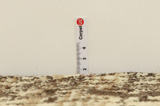 Gabbeh - Bakhtiari Perzisch Tapijt 328x221 - Afbeelding 8
