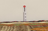 Gabbeh - Qashqai Perzisch Tapijt 249x154 - Afbeelding 8