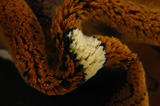 Kashkooli - Gabbeh Perzisch Tapijt 162x106 - Afbeelding 7