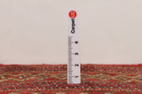 Yomut - Bokhara Perzisch Tapijt 110x113 - Afbeelding 8