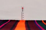 Kilim Jajim - Bidjar 320x210 - Afbeelding 8