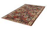 Bakhtiari - Garden Perzisch Tapijt 300x165 - Afbeelding 2