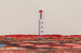 Lilihan - Sarouk Perzisch Tapijt 334x224 - Afbeelding 8