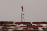 Afshar - Sirjan Perzisch Tapijt 288x140 - Afbeelding 8
