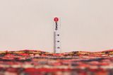 Hosseinabad - Hamadan Perzisch Tapijt 285x106 - Afbeelding 8