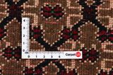 Songhur - Koliai Perzisch Tapijt 287x162 - Afbeelding 4