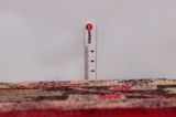 Lilihan - Sarouk Perzisch Tapijt 268x138 - Afbeelding 8
