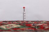 Songhur - Koliai Perzisch Tapijt 283x105 - Afbeelding 8