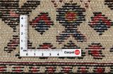 Bakhtiari - Garden Perzisch Tapijt 292x162 - Afbeelding 4
