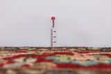 Bidjar - Kurdi Perzisch Tapijt 300x153 - Afbeelding 8